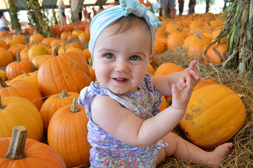 Eight-month-old Monroe Supple, of Mill Creek, spends time in the pumpkin patch as her mom, Katie, snaps photos.