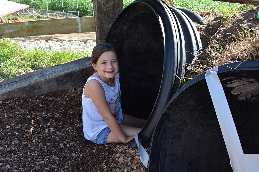 Apollo Beach resident Josephine Santucci, 9, slides her way to the corn maze.