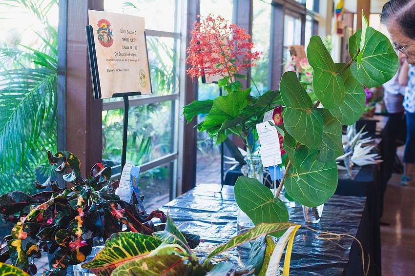 Dozens of flower designed were displayed.