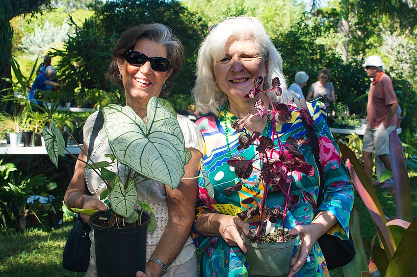 Jane Hoffman and Nan Basu