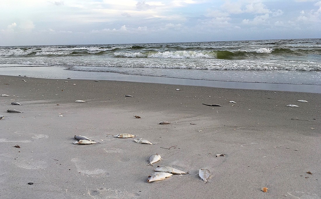 The town suspended beach cleanup operations on Oct. 12, following the offshore passage of Hurricane Michael.