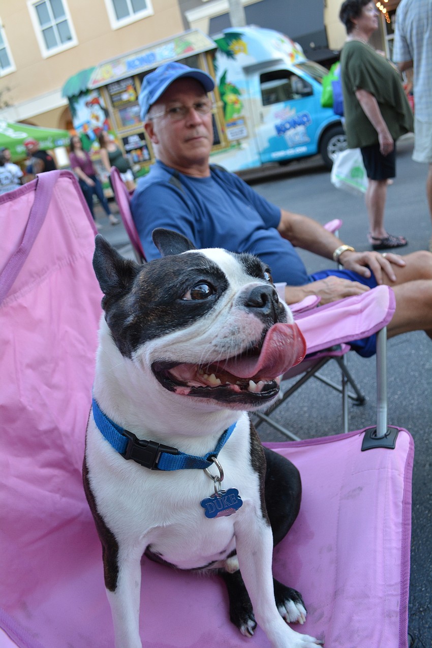 Duke finds a comfy seat with his owner John Golon, of Lakewood Ranch. The duo listened to music while Bonnie Golon explored vendor and club booths.