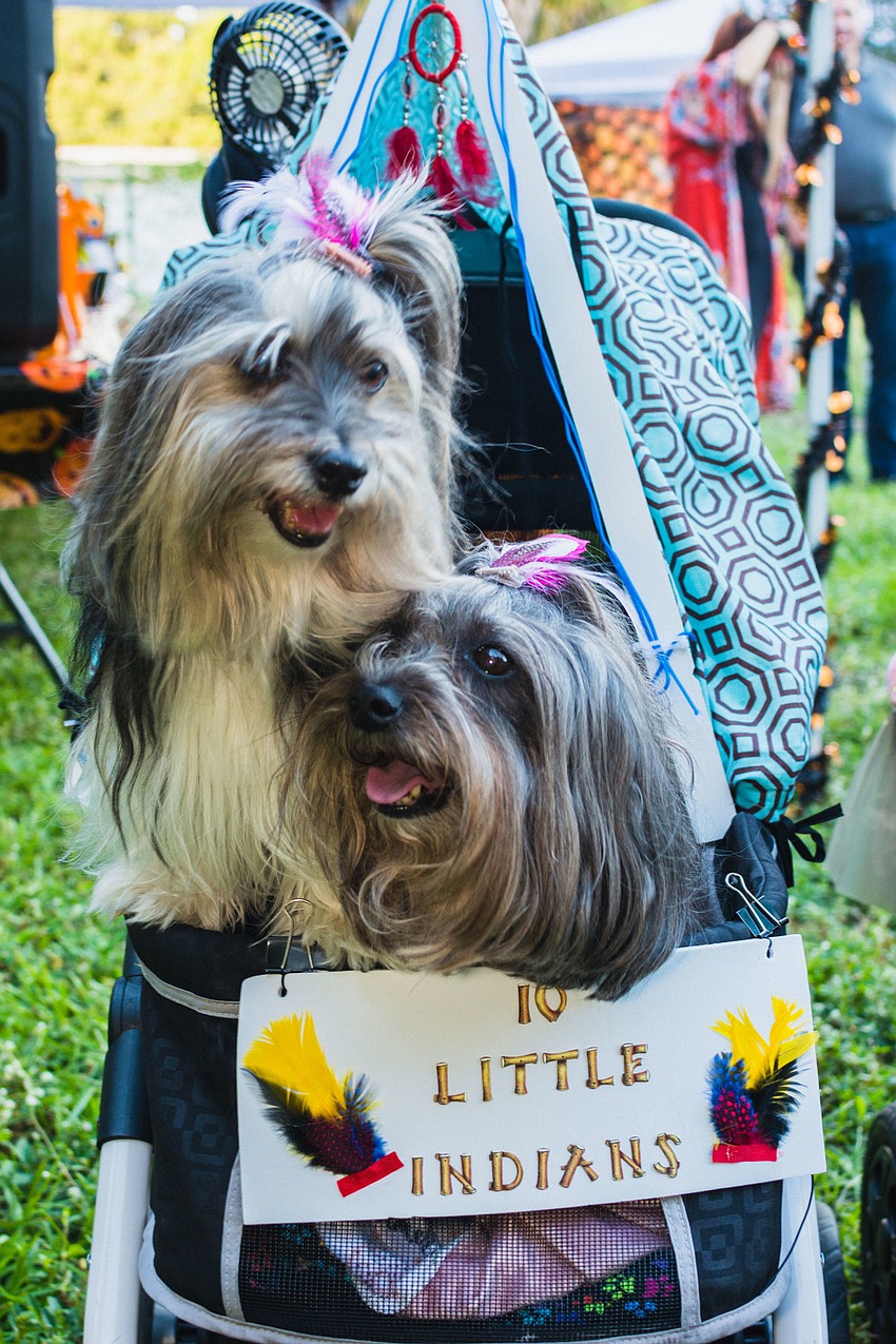 10 Little Indians won the award for 