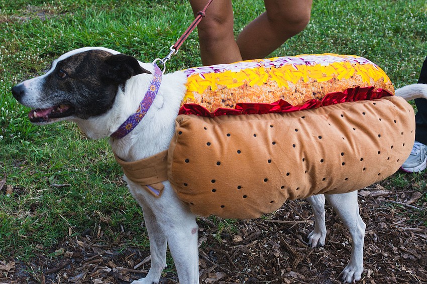 Abby, dressed as a Chicago hotdog, won the award for funniest costume.