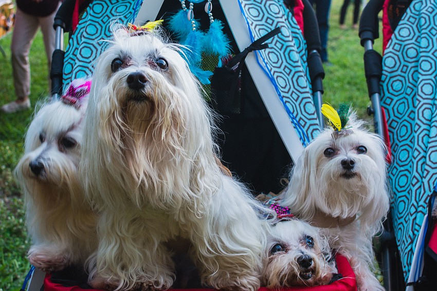 10 Little Indians won the award for 