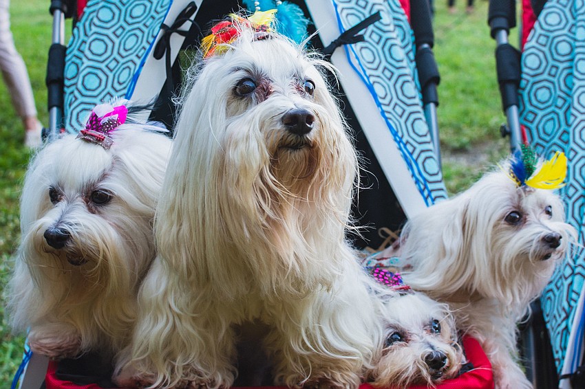 10 Little Indians won the award for 