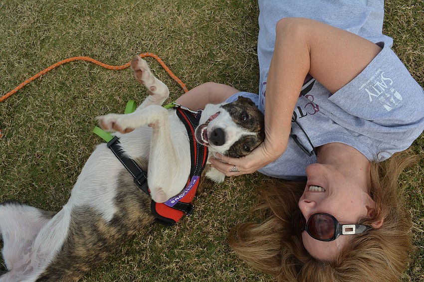Lakewood Ranch's Kelly Taylor, an ARC volunteer, rolls on the ground with Ellie May, a 1-year-old  Basenji-bull terrier mix.