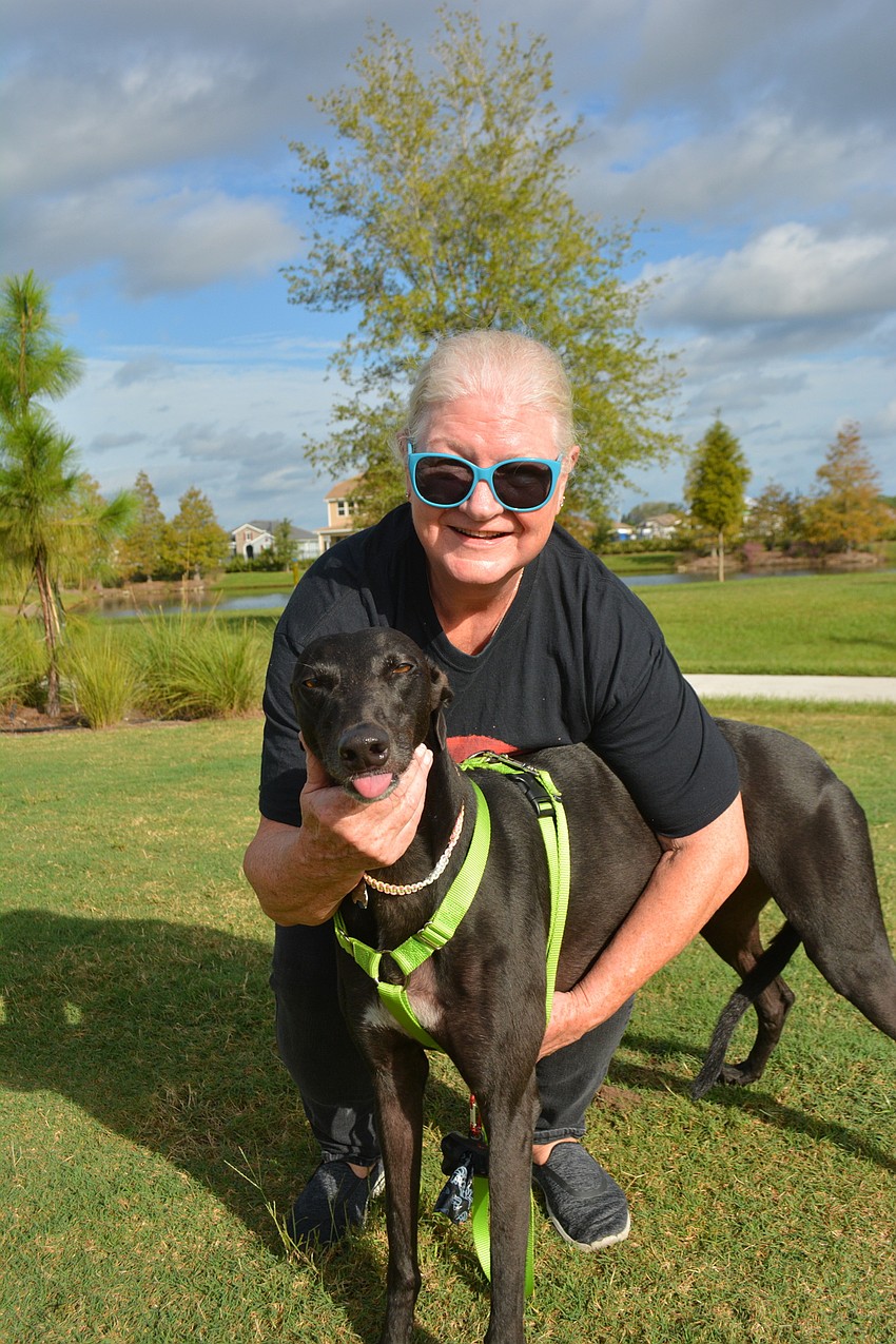 Venice's Liz Collins shows off Darcy, a 3-year-old greyhound-retriever mix she adopted in June.