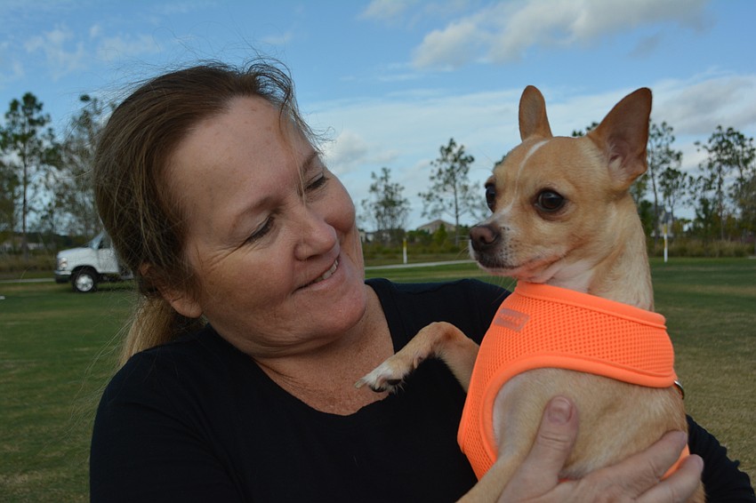 Sarasota's Julianna Vazquez plays with Nacho, a 5-year-old chihuahua, at Barctober Fest. Vazquez owns Studio 2201 Photography in Sarasota.