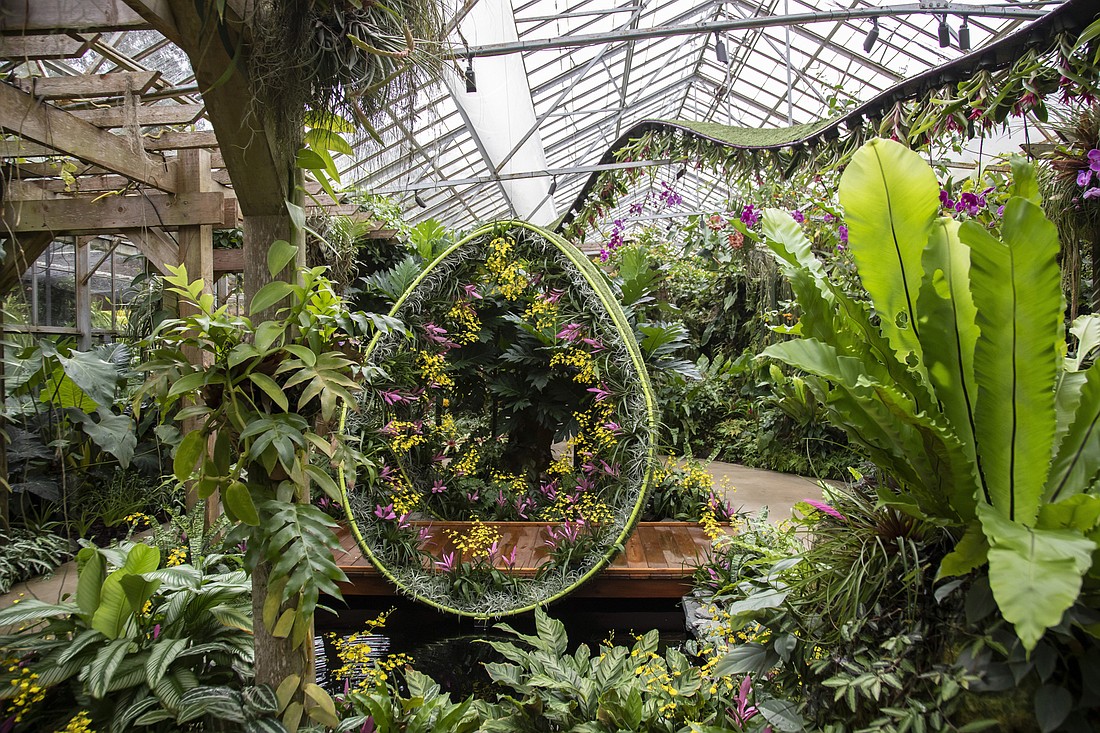 The Orchid Show: "Endless Forms" runs through Nov. 25. Photo by Matt Holler courtesy of Selby Gardens