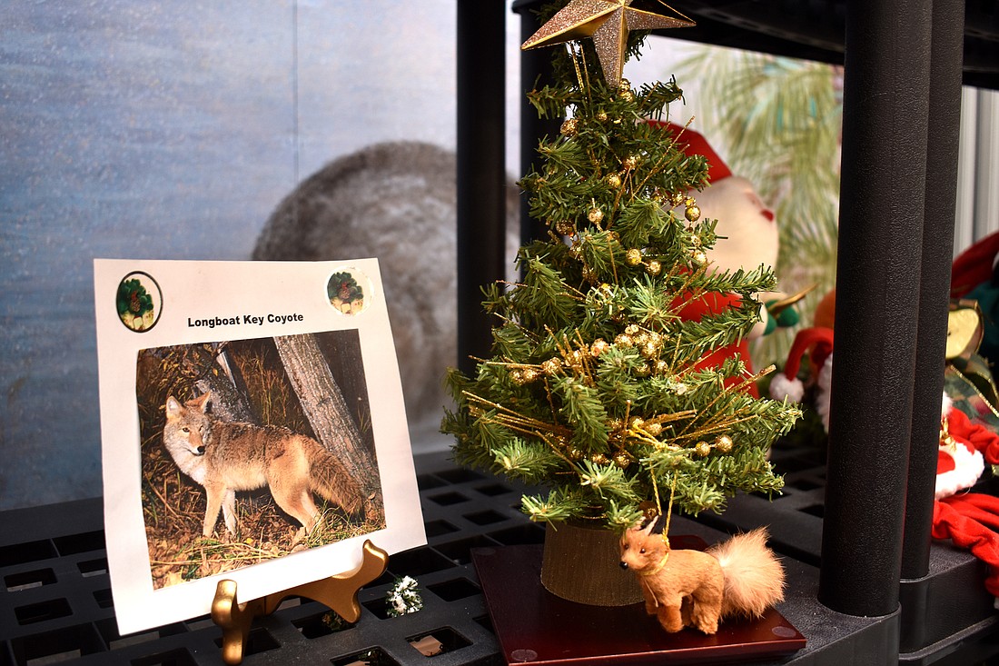 One lucky customer will be able to remember the sage of the Longboat Key coyotes by purchasing this tree and ornament.