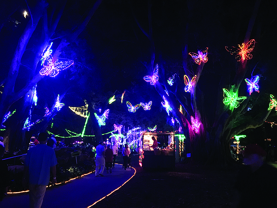 Lights at Marie Selby Botanical Gardens