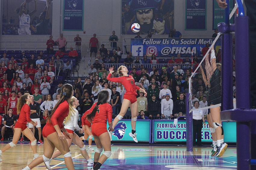 Cougars junior Anna Klemeyer lines up a kill attempt. She finished with 12 kills.