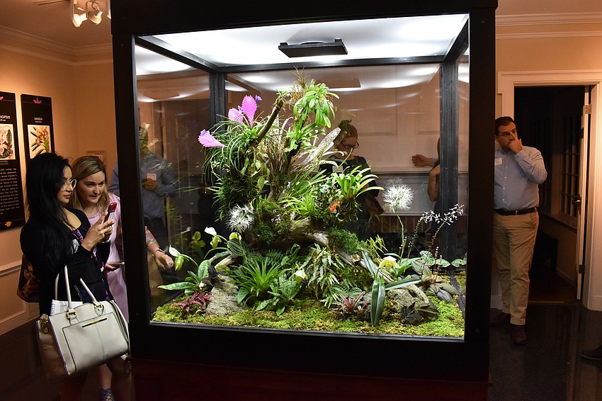 One half of the exhibit is housed in the Payne Mansion (like this terrarium).