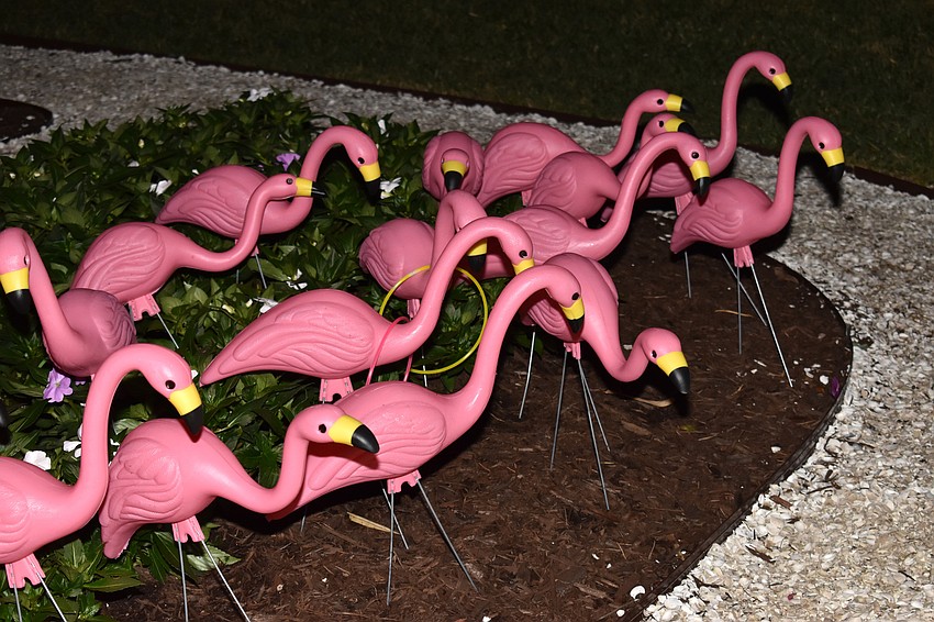 Guests played ring toss with a twist — plastic flamingos.
