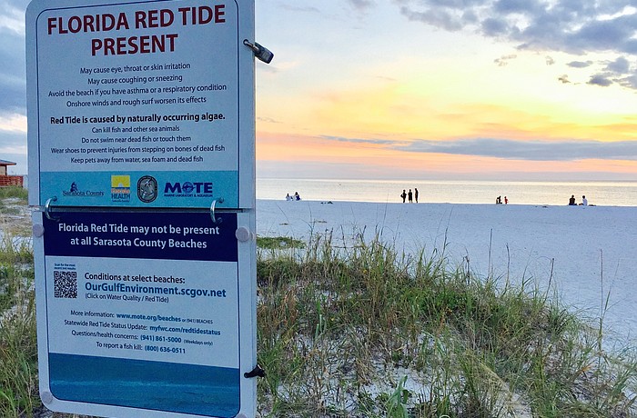 Wind and tidal forces can bring dead sea life to the beaches and wash it back out. Town officials plan to clean Longboat's gulf beaches before Thanksgiving weekend.