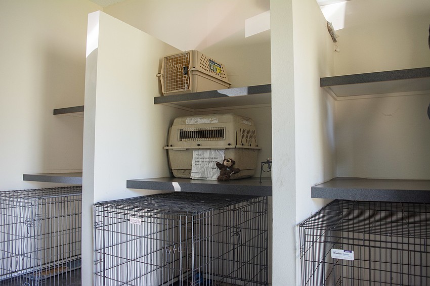 SPARCC's pet kennel before Lowe's volunteers gave the space an update in October.