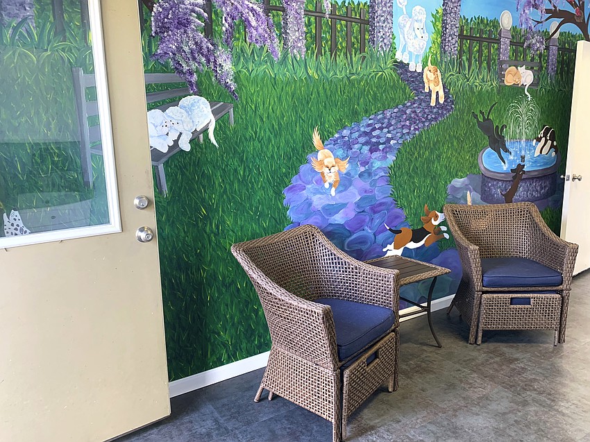 The pet kennel gets new furniture for emergency shelter residents to sit comfortably with their pets.