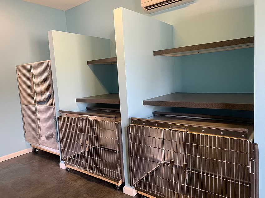 SPARCC's pet kennel after renovations thanks to volunteers from two local Lowe's stores. The space got new floors, furniture, kennels, ventilation system and fresh coat of paint.
