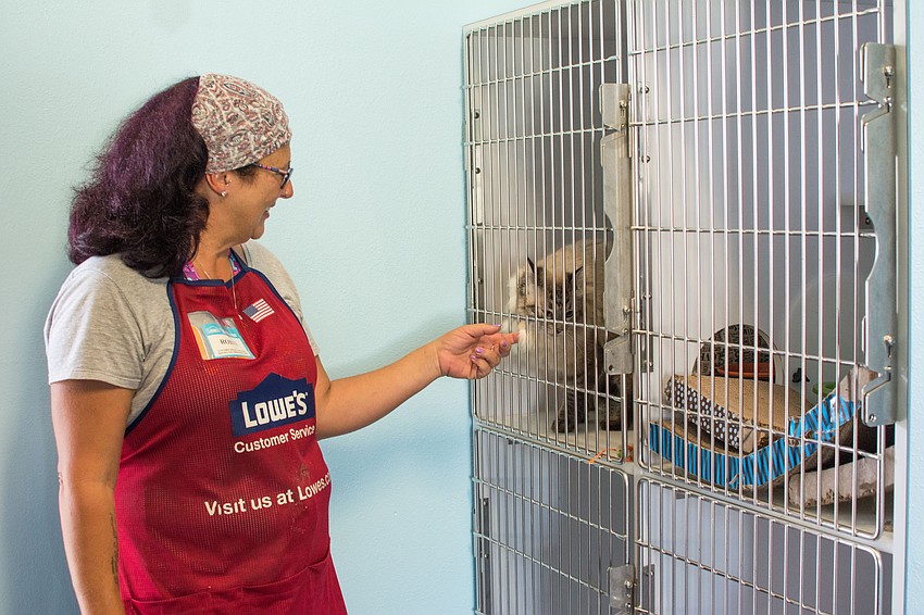 Lowe's team member Robin Perry greets a cat staying at the renovated pet kennel.