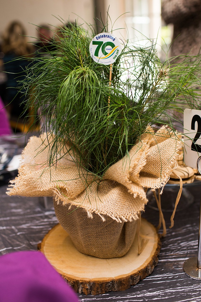 Each centerpiece had ten saplings — enough for every guest to take one home.