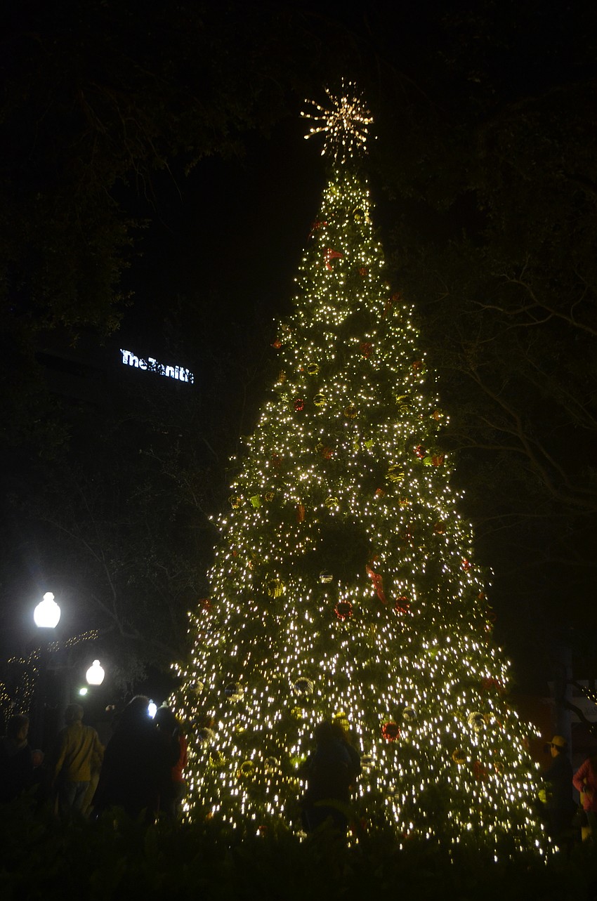 The Christmas tree lights up Five Points Park.