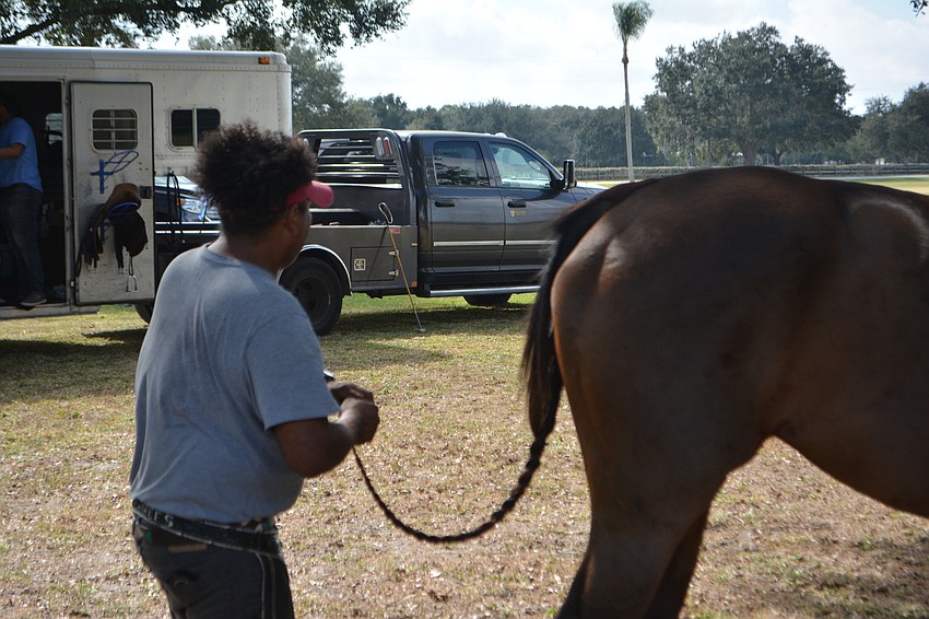 Every part of each horse had to be ready for opening day.