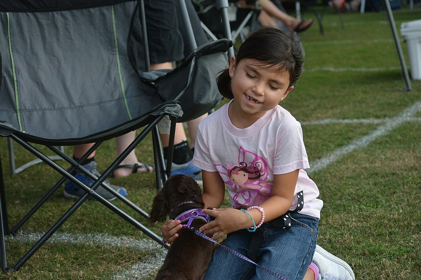 Sarasota's Paloma Tucker, 6, plays with a mini dachshund along the sideline.