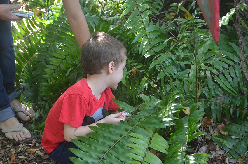 Alexzander Ortiz reaches for a candy cane hiding under a bush.