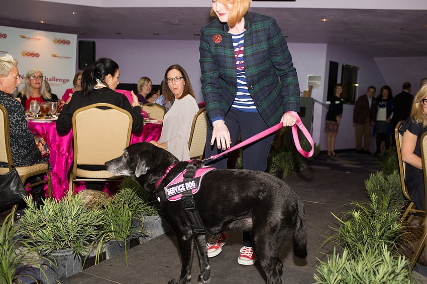 Service or therapy dogs help those with Parkinson's by promoting exercise, reducing depression and more.