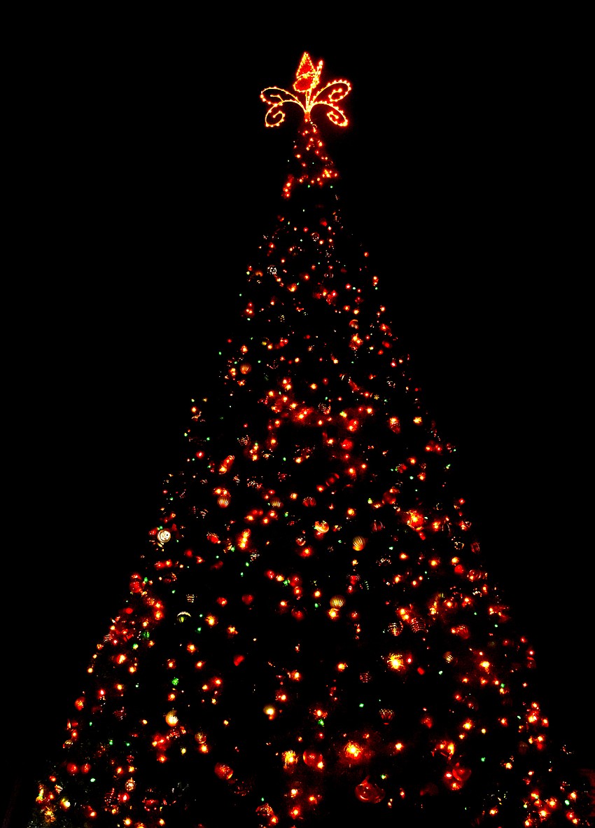 The St. Armands Christmas tree is 55-feet tall.