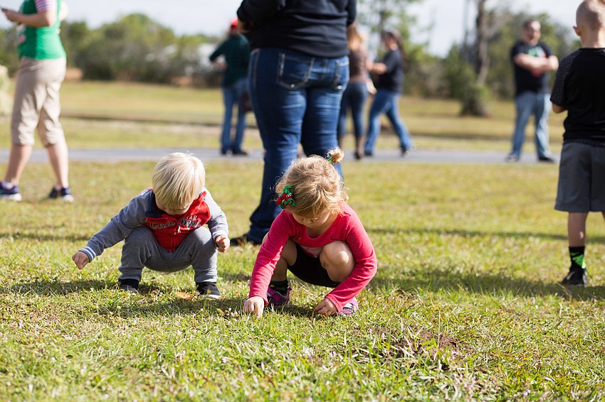 Kids pick at clovers while they wait for the elephant to come out.