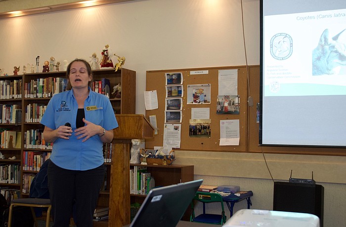 Angeline Scottien, a biologist with the Florida Fish and Wildlife Conservation Commission talks about coyotes.