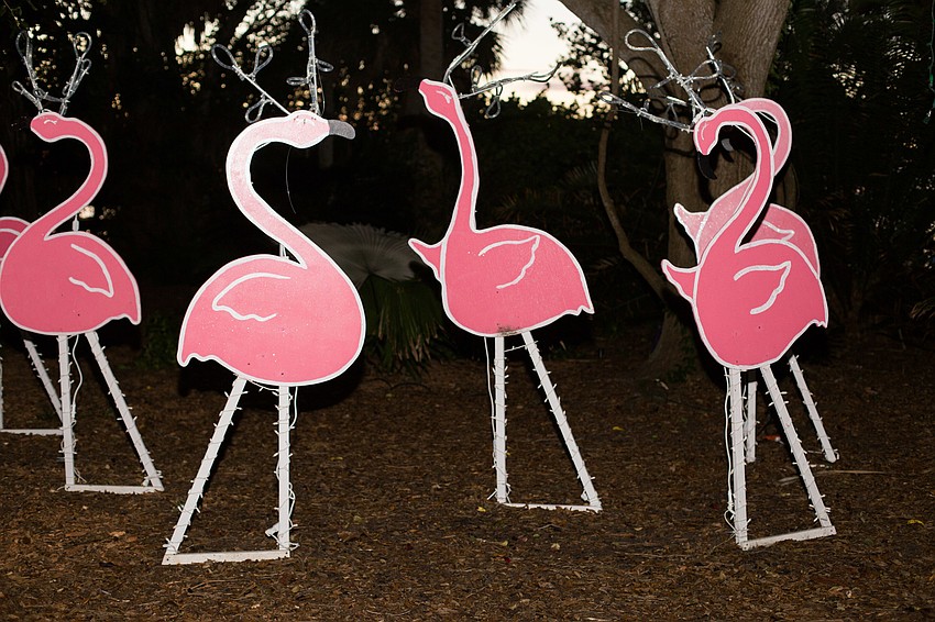 Flamingos decorate parts of the garden.