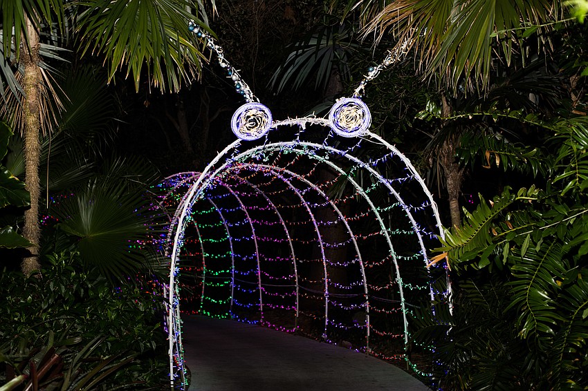 The light tunnel is shaped like a bug.