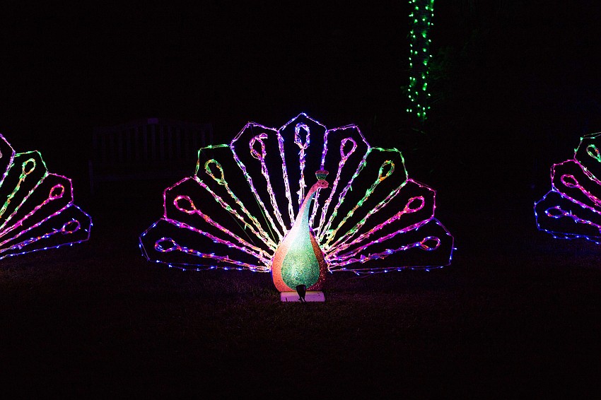 Peacocks, flamingos and butterflies are lit up around the grounds.