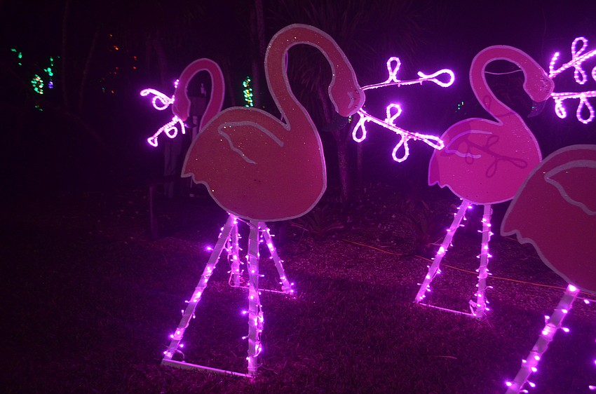 Flamingos patrol the gardens.