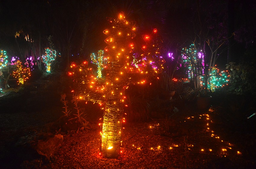 The plants got the light-treatment, with this cactus light sitting in the more arid section of the garden.