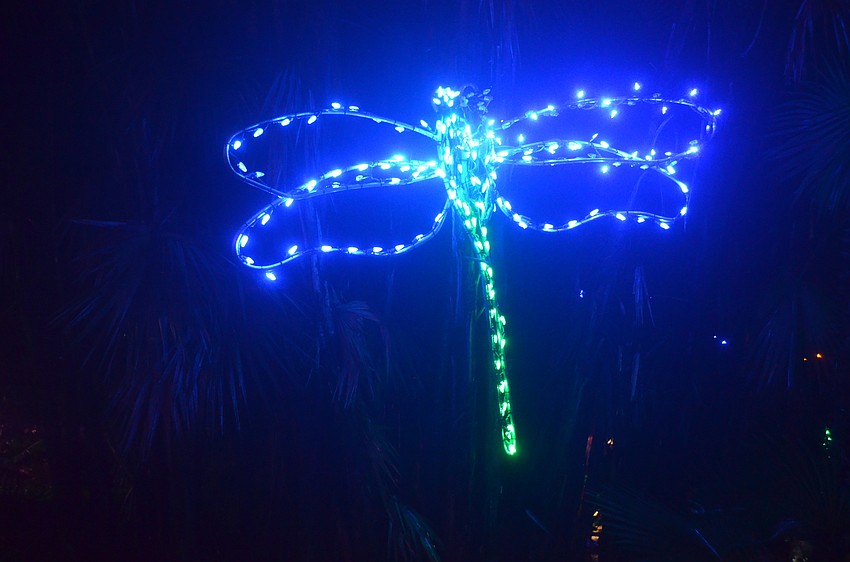 A lot of the lights at the gardens were bug themed, like this dragonfly light creation.