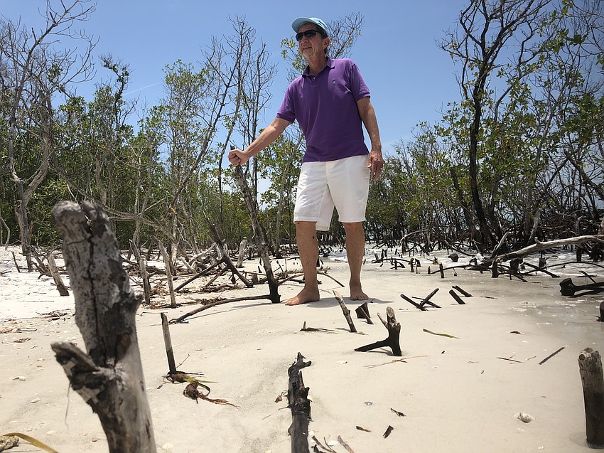 Subtropical storm Alberto’s wind and waves overwashed portions of Greer Island, ruining a path cut through the mangroves for emergency use.