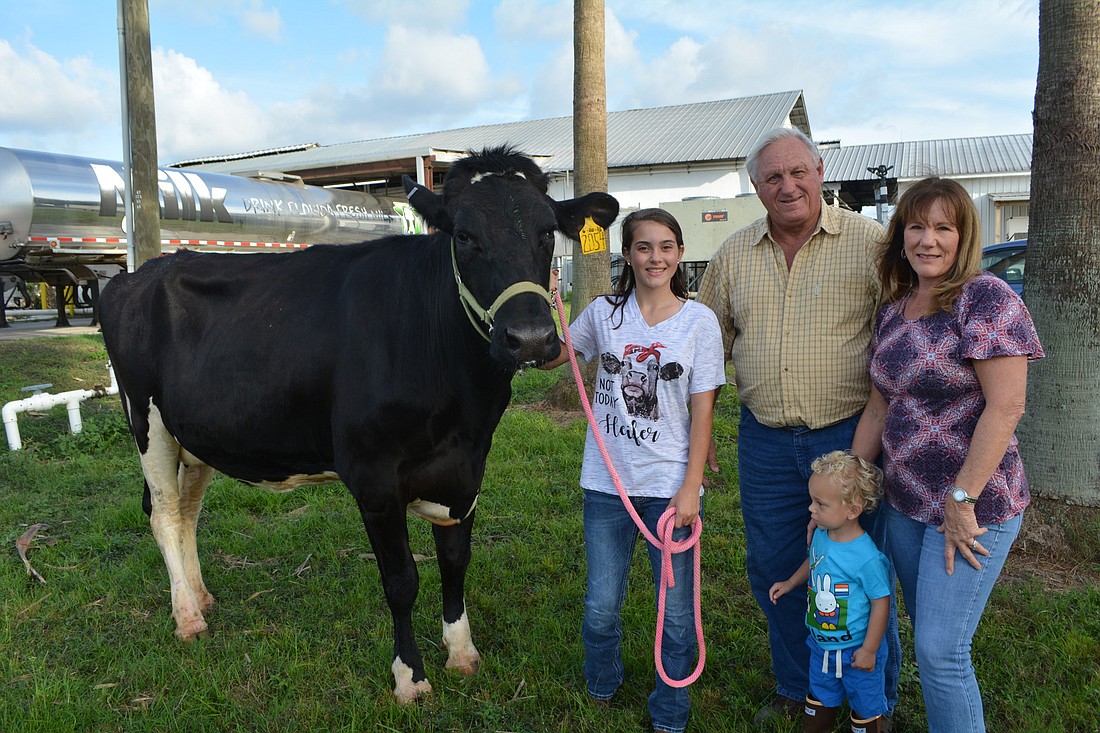 Lakewood Ranch High School student Madyson Flores shows off her heifer, Emmy, with Cameron Dakin Dairy owners Cameron and Sondra Dakin, pictured with their 2-year-old grandson Reid Dakin. The Dakins lease Emmy to Madyson.
