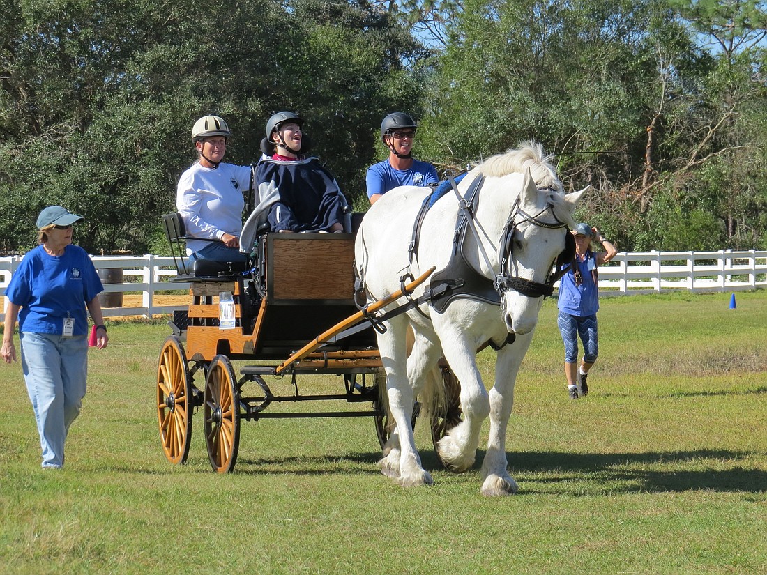 Sarasota Manatee Association for Riding Therapy carriage horse Sterling, a 22-year-old Percheron, pulls students across a field at SMART&#39;s campus off County Road 675. Sterling will retire in about one year. Courtesy image.