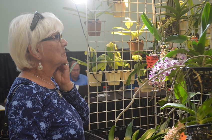 Elsie Shoults inspects orchids at the show.
