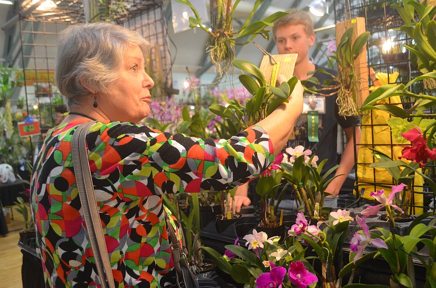Amy Boyd takes a closer look at an orchid for sale.