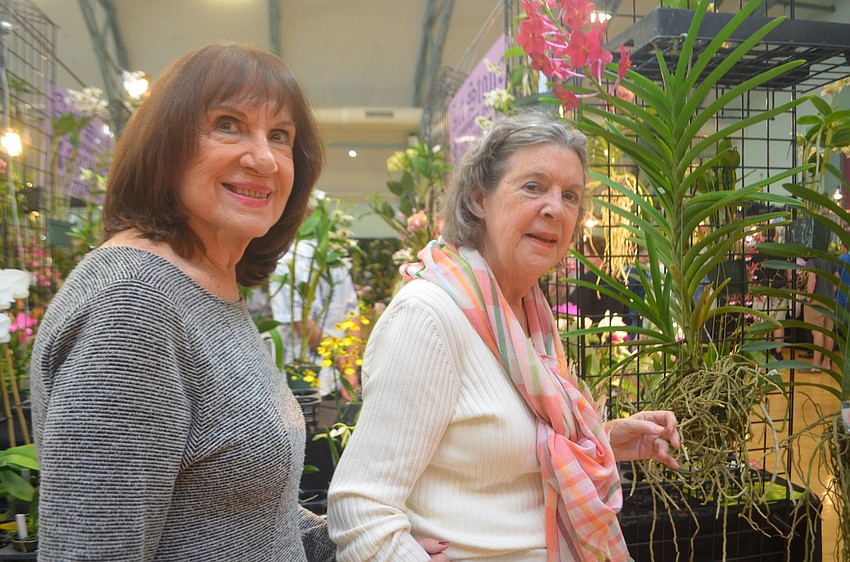 Renee Hunter and Patricia Laurie