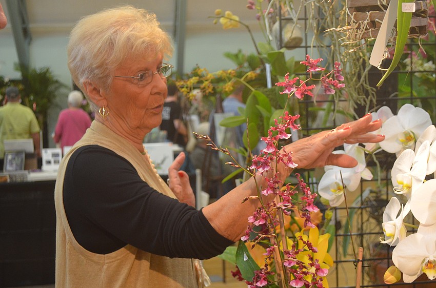 Margaret Wohlfahrt recently got into orchids last year.