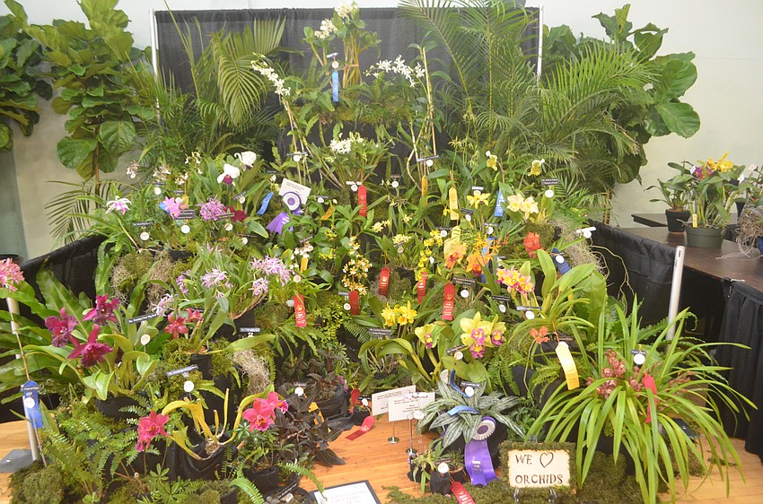 The Englewood Orchid Society assembled their own display at the show.