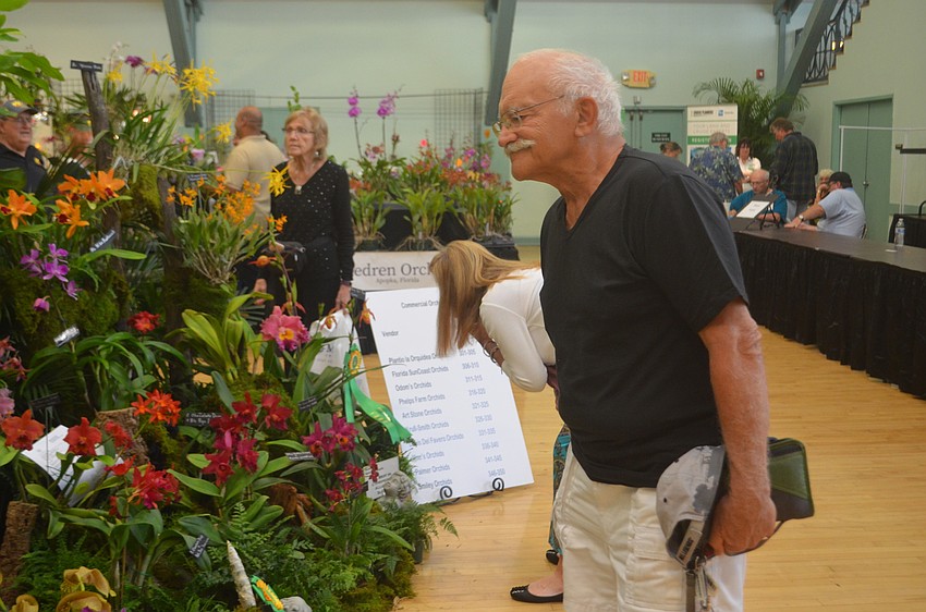 Bob Catuccio inspects the orchid display.