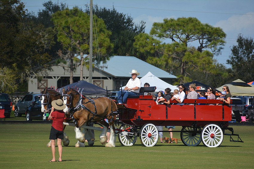 The kids were treated to a wagon ride with Clydesdales at halftime.