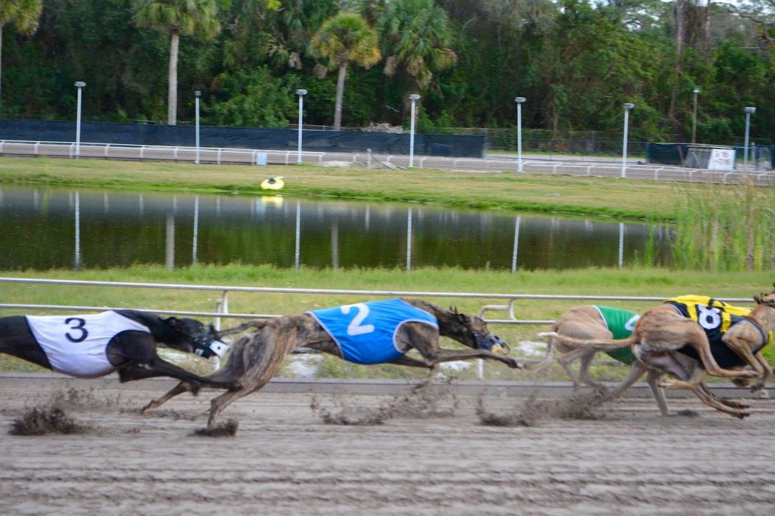 Owners of Sarasota Kennel Club have not made clear what will happen to the track.